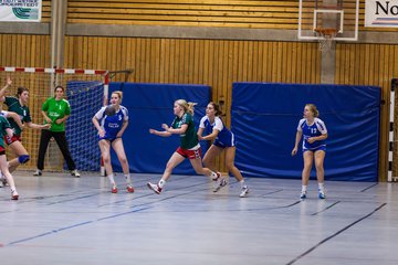 Bild 132 - B-Juniorinnen JSG Alstertal/Norderstedt - HSG Kremperheide/M�nsterdorf : Ergebnis: 24:14